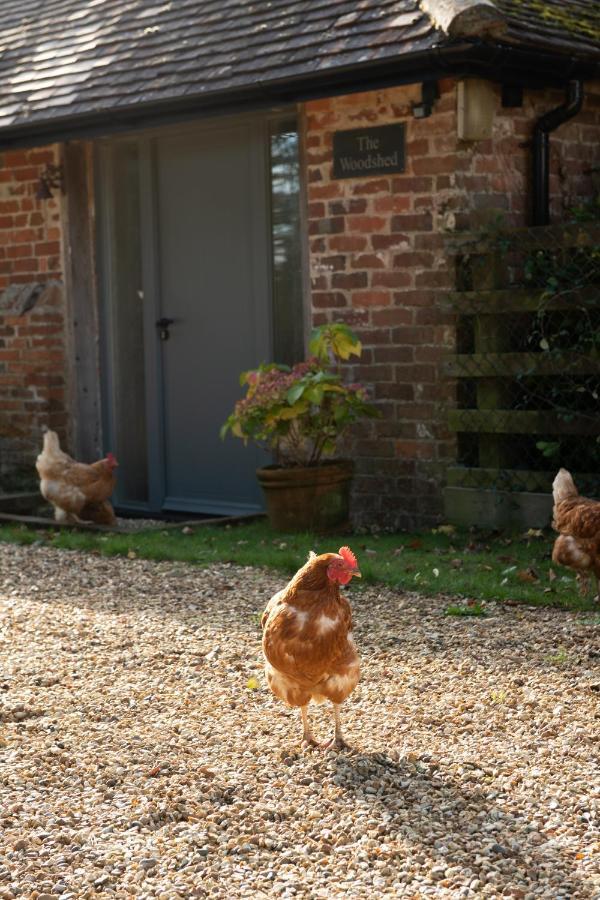 Street Farmhouse Godshill  Dış mekan fotoğraf
